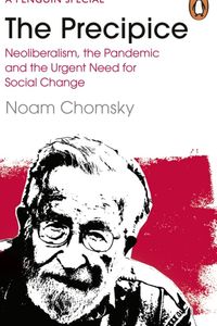 The Precipice: Neoliberalism, the Pandemic and the Urgent Need for Radical Change