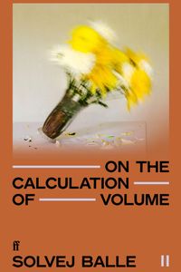On the Calculation of Volume II