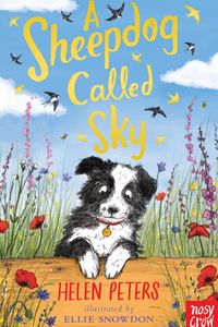 A Sheepdog Called Sky