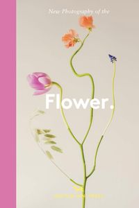 New Photography of the Flower.