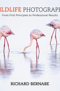 Wildlife Photography