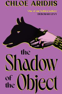 The Shadow of the Object