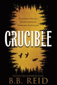 Crucible