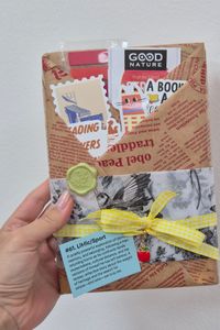 Blind Date with a Book #61 - Summer -  Literary Fiction/Sports