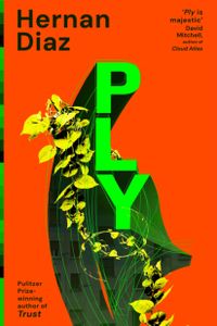 Ply