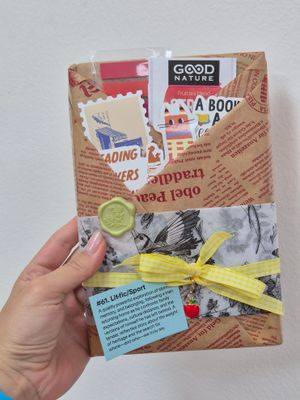 Book cover of Blind Date with a Book #61 - Summer -  Literary Fiction/Sports