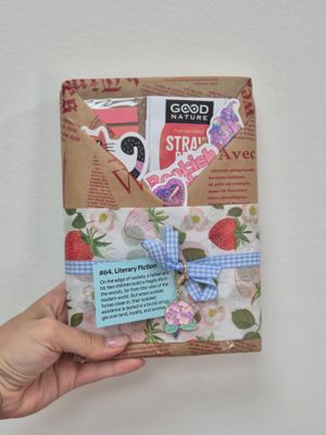 Book cover of Blind Date with a Book #64 - Summer - Literary Fiction
