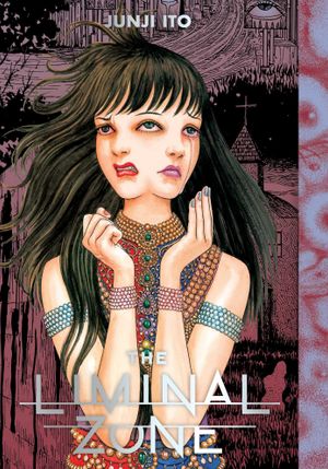 Book cover of The Liminal Zone