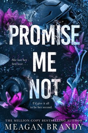 Book cover of Promise Me Not (Boys of Avix, #2)