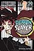 Book cover of Demon Slayer