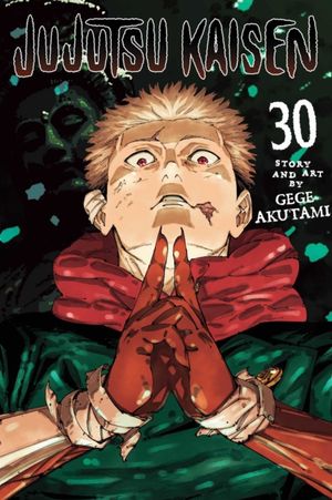 Book cover of Jujutsu Kaisen, Vol. 30
