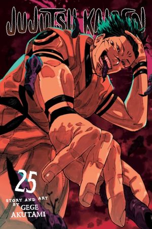 Book cover of Jujutsu Kaisen, Vol. 25