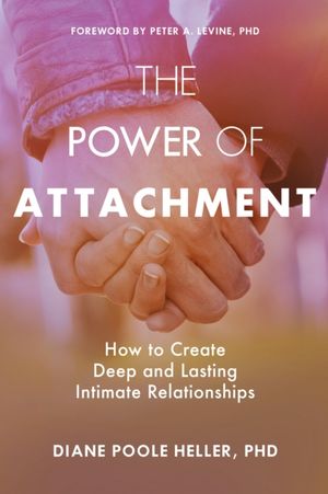 Book cover of The Power of Attachment
