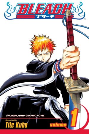Book cover of Bleach, Vol. 1