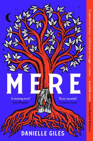 Book cover of Mere