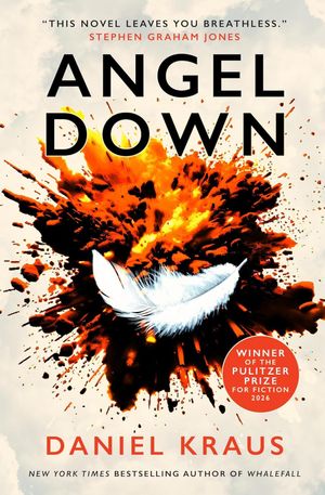 Book cover of Angel Down