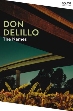 Book cover of The Names