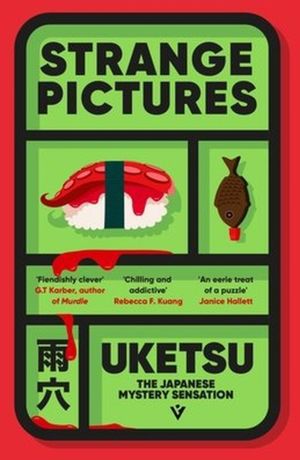 Book cover of Strange Pictures
