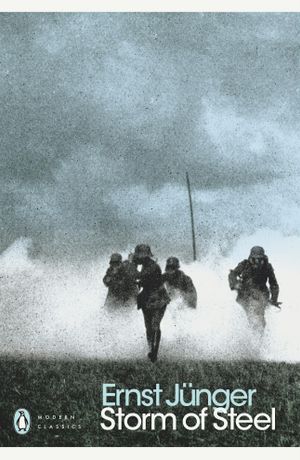 Book cover of Modern Classics Storm of Steele