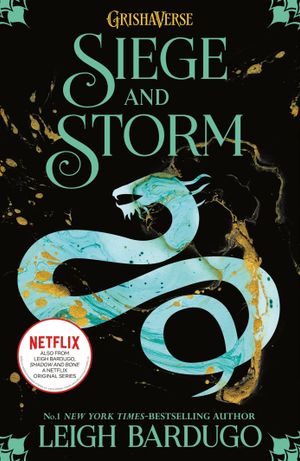 Book cover of Siege and Storm