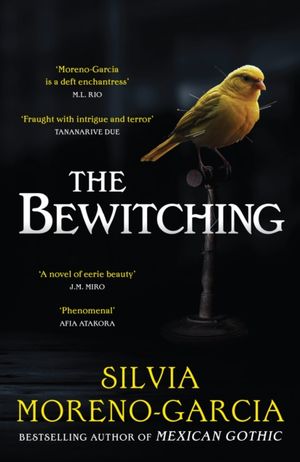 Book cover of The Bewitching