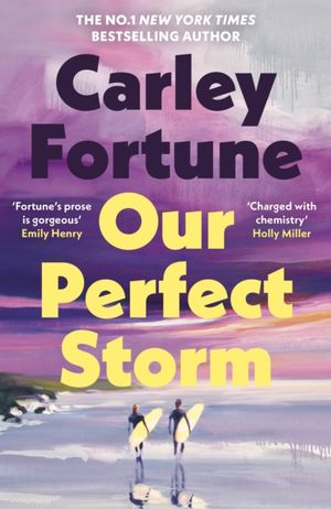 Book cover of Our Perfect Storm
