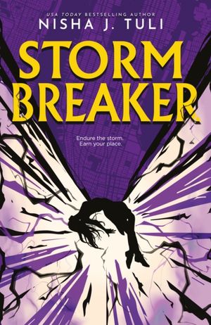 Book cover of Stormbreaker
