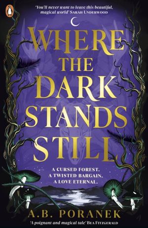 Book cover of Where the Dark Stands Still