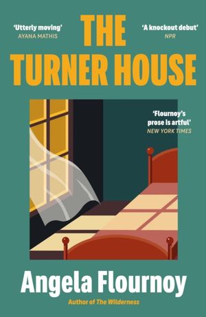 Book cover of The The Turner House