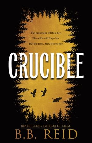 Book cover of Crucible