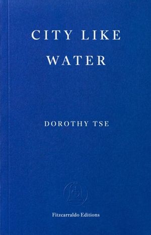 Book cover of City Like Water