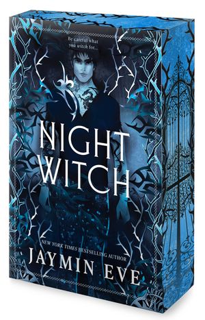 Book cover of Night Witch