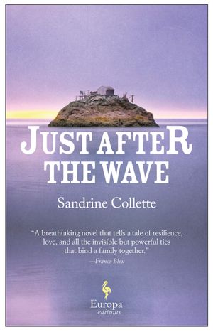 Book cover of Just After the Wave