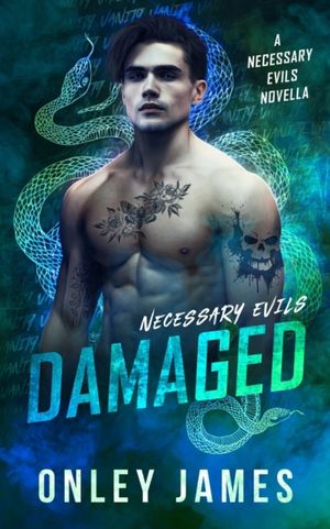 Book cover of Damaged