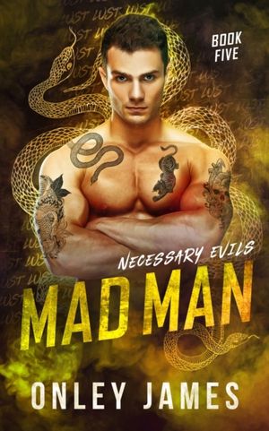 Book cover of Mad Man (Necessary Evils)