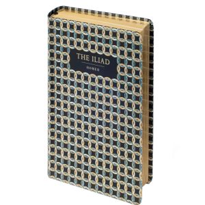 Book cover of The Iliad