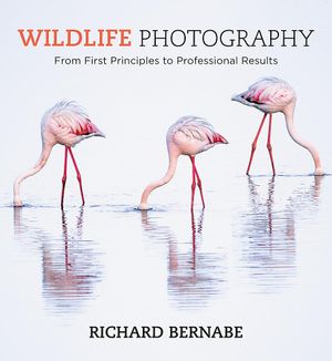 Book cover of Wildlife Photography