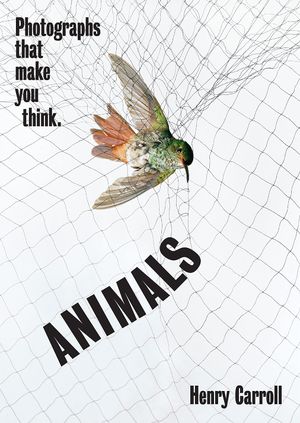 Book cover of Animals