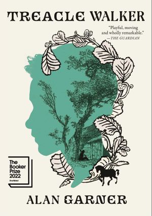 Book cover of Treacle Walker