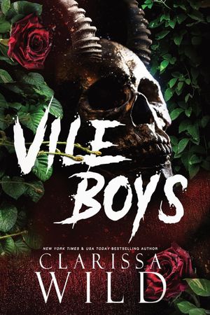 Book cover of Vile Boys
