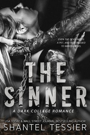 Book cover of The Sinner