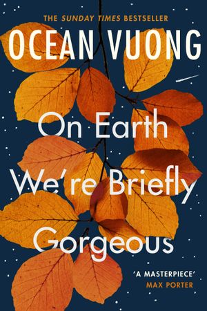 Book cover of On Earth We're Briefly Gorgeous