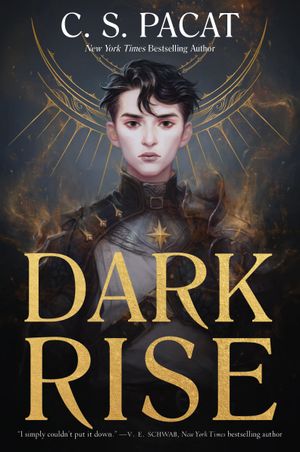 Book cover of Dark Rise