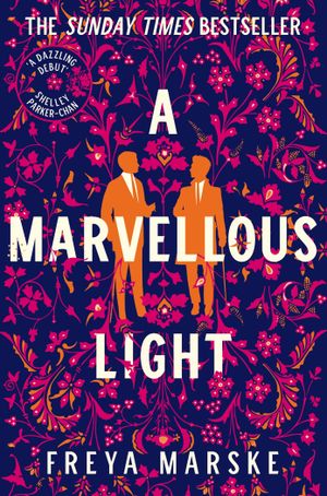Book cover of A Marvellous Light