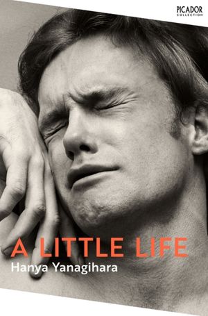Book cover of A Little Life