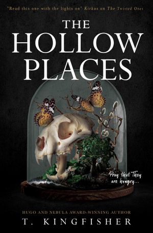 Book cover of The Hollow Places