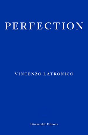 Book cover of Perfection