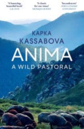 Book cover of Anima