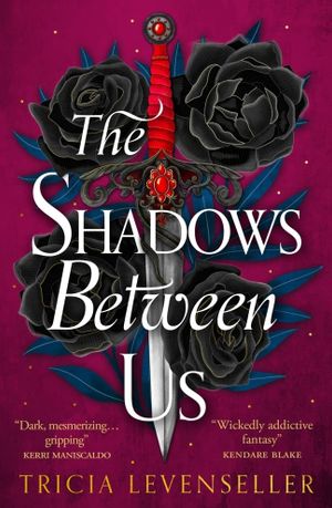 Book cover of The Shadows Between Us