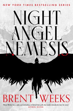 Book cover of Night Angel Nemesis